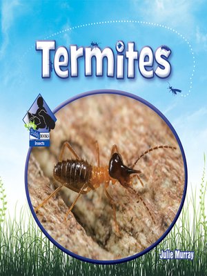 cover image of Termites